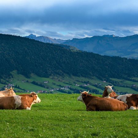 Ferienwohnung Bergpfote - Hund Herzlich Willkommen Scheidegg Exteriér fotografie