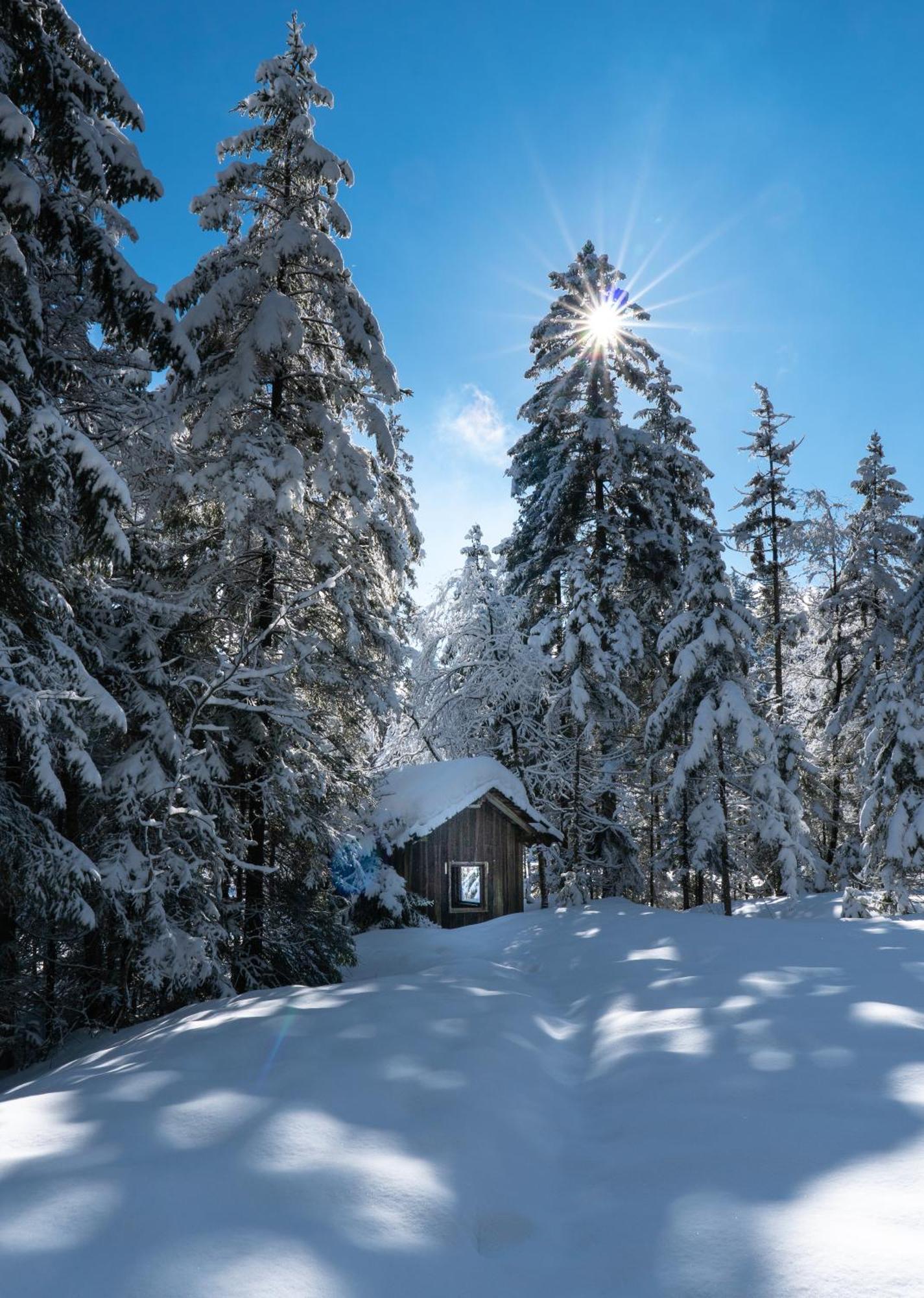 Ferienwohnung Bergpfote - Hund Herzlich Willkommen Scheidegg Exteriér fotografie